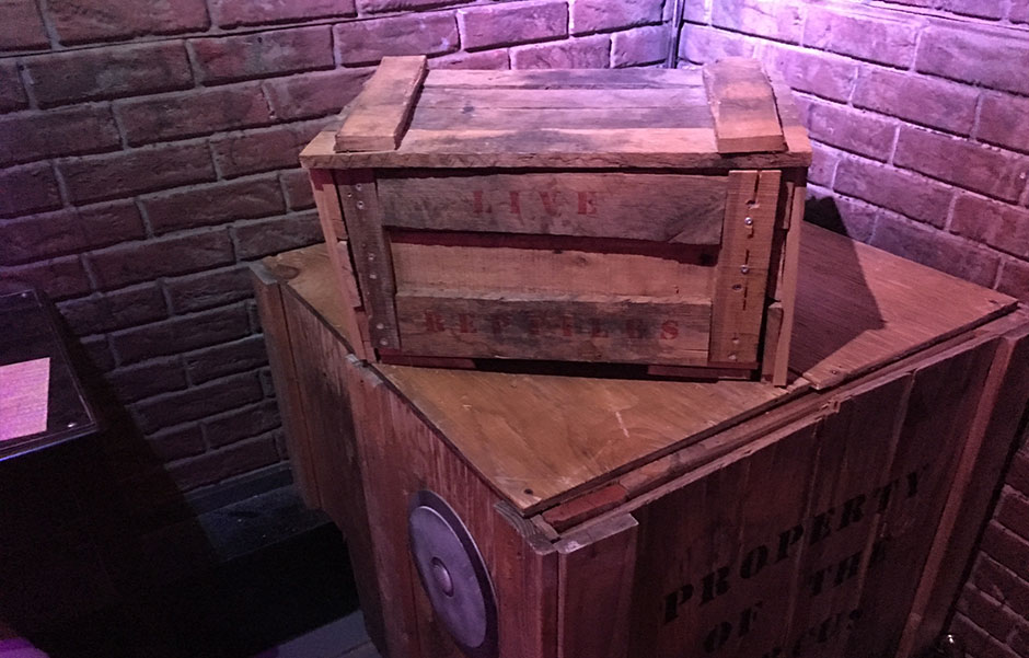 Escape Room: Dressing Room