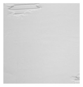 #1920 - Institution Wall Panel close up