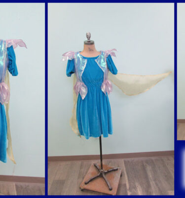 Fairytale Creatures - Blue Fairy Costume