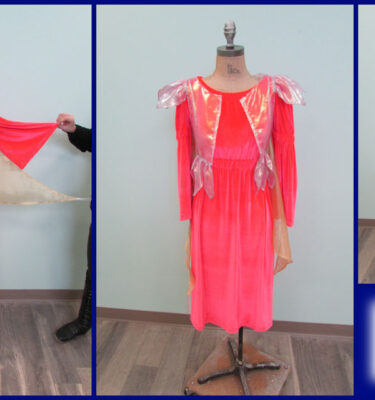 Fairytale Creatures - Pink Fairy Costume