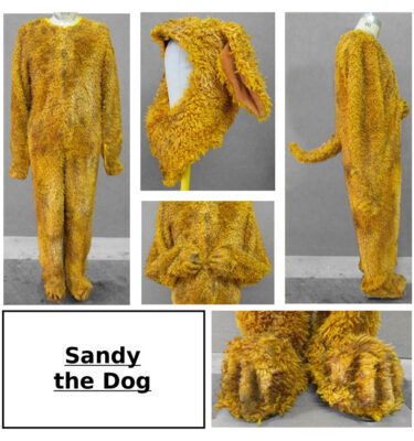 Sandy Costume