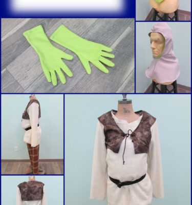 Shrek Costume