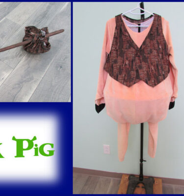 Pig 3 Costume