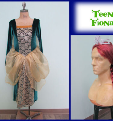 Teen Fiona Costumes