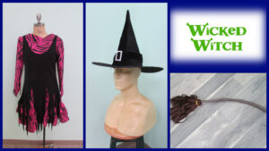 Wicked Witch Costume
