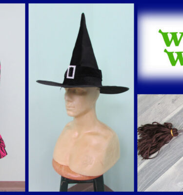 Wicked Witch Costume