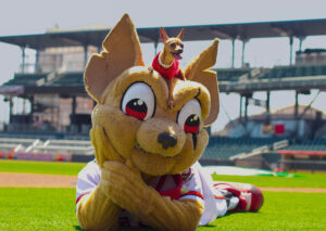 El Paso Chihuahuas Mascot: Chico