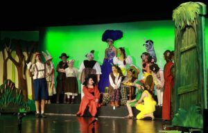 Shrek Jr. Set Rental - Live Action