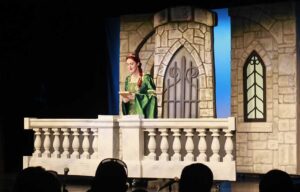 Shrek Jr. Set Rental - Live Action