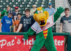 Lowell Spinners Mascot: Canaligator