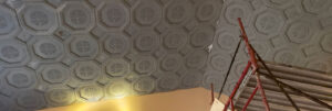 Ceiling Vacuum Forms