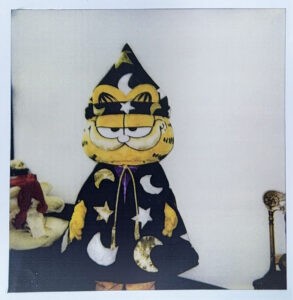 Garfield the cat costume