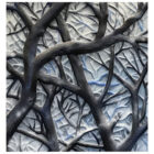 Forest with Stone Wall